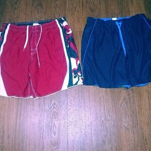 Speedo Black and White Swim Shorts